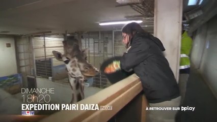 Expédition Pairi Daiza : Saison 5, Emission 2