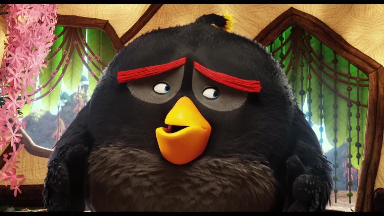 Angry birds : le film - 16 avril