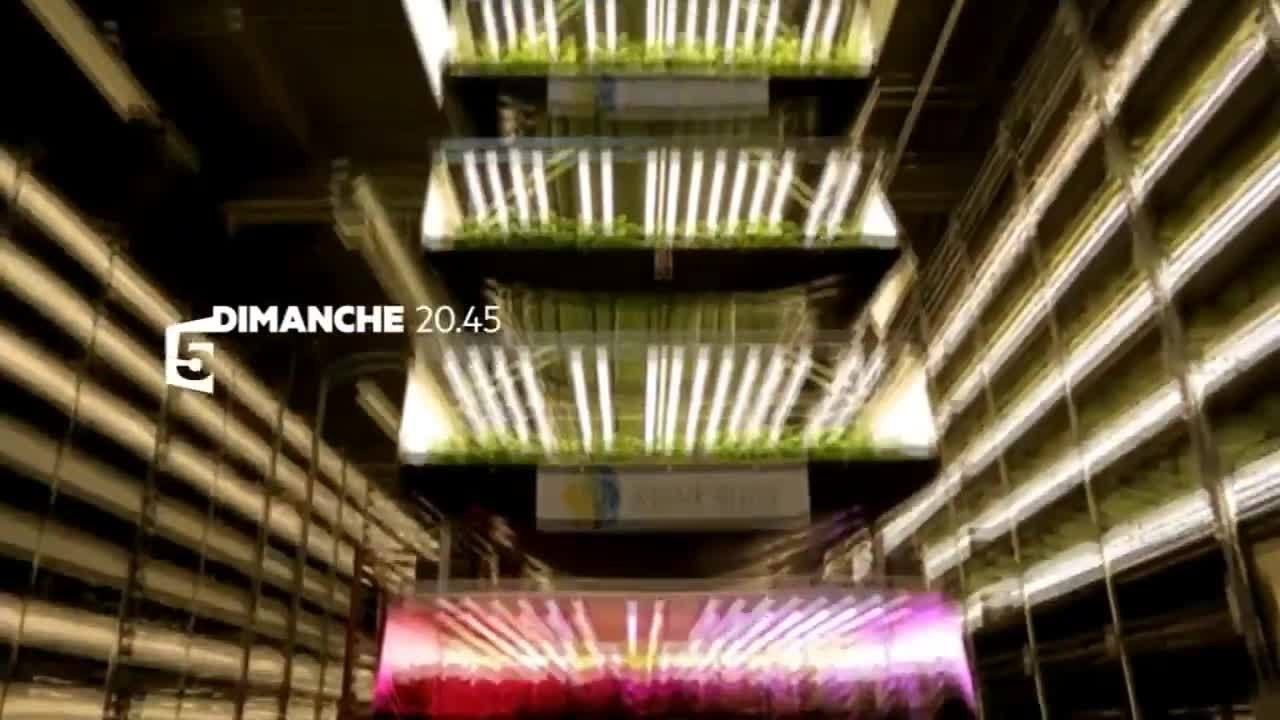 Au coeur de la salade