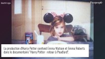 Emma Watson : Une énorme boulette s'est glissée dans les images des retrouvailles Harry Potter !