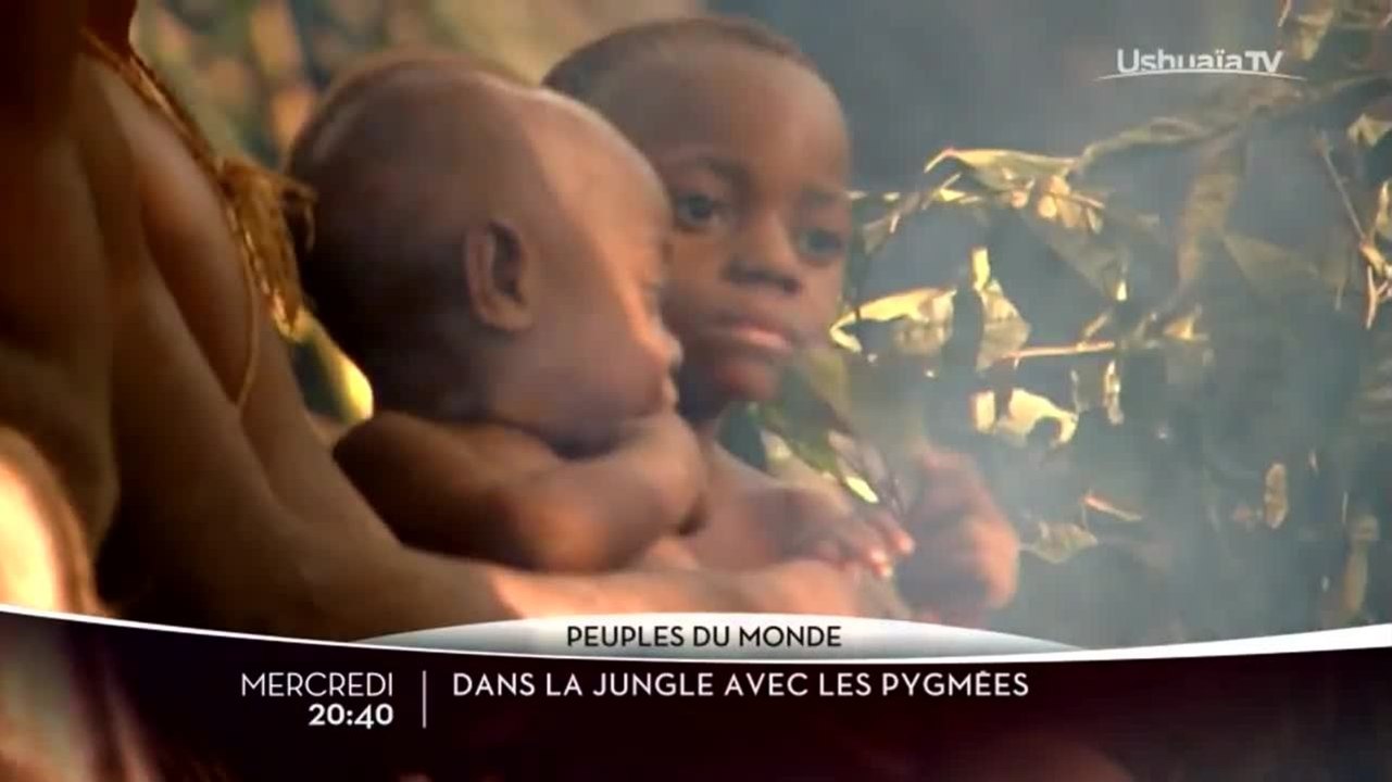 Dans la jungle avec les pygmées