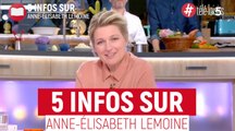 Anne-Élisabeth Lemoine : 5 infos à connaître sur l'animatrice de C à Vous sur France 5