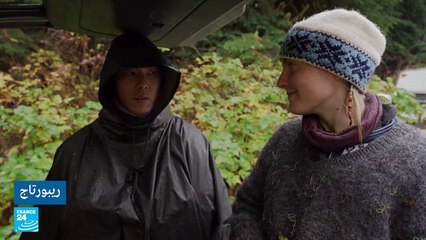 كندا: نشطاء بيئيون يعرضون حياتهم للخطر من أجل إنقاذ غابة فيري كريك