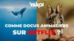 Yakoi : découvrez notre top 5 des documentaires animaliers sur Netflix !