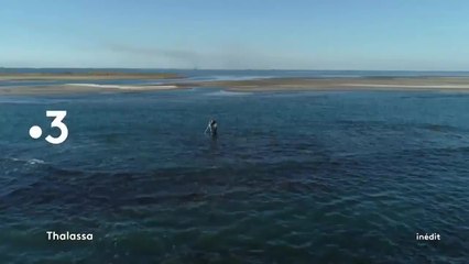 Thalassa - 25 mars