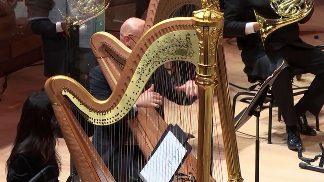 Johann Strauss II : Roses du Sud