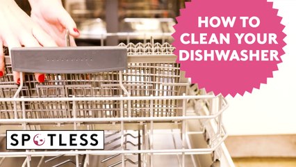 How to Clean a Dishwasher | Spotless | Real Simple