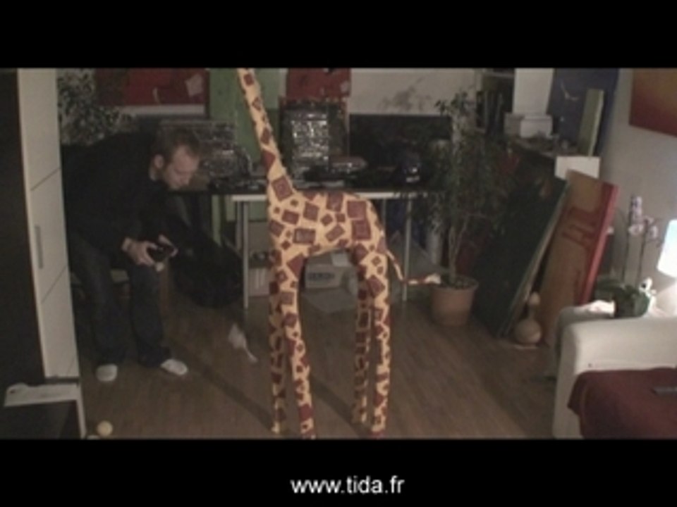 Picooz_tida_fr
