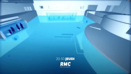 Nausicaa, dans les coulisses du plus grand aquarium d'Europe