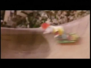 Stuart Little 2 - 26 février