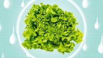 The #1 Reason Why You Shouldn't Wash Pre-Washed Lettuce, According to an Expert