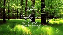 15 beautiful nature stock footage ( Nature Relaxation Music)