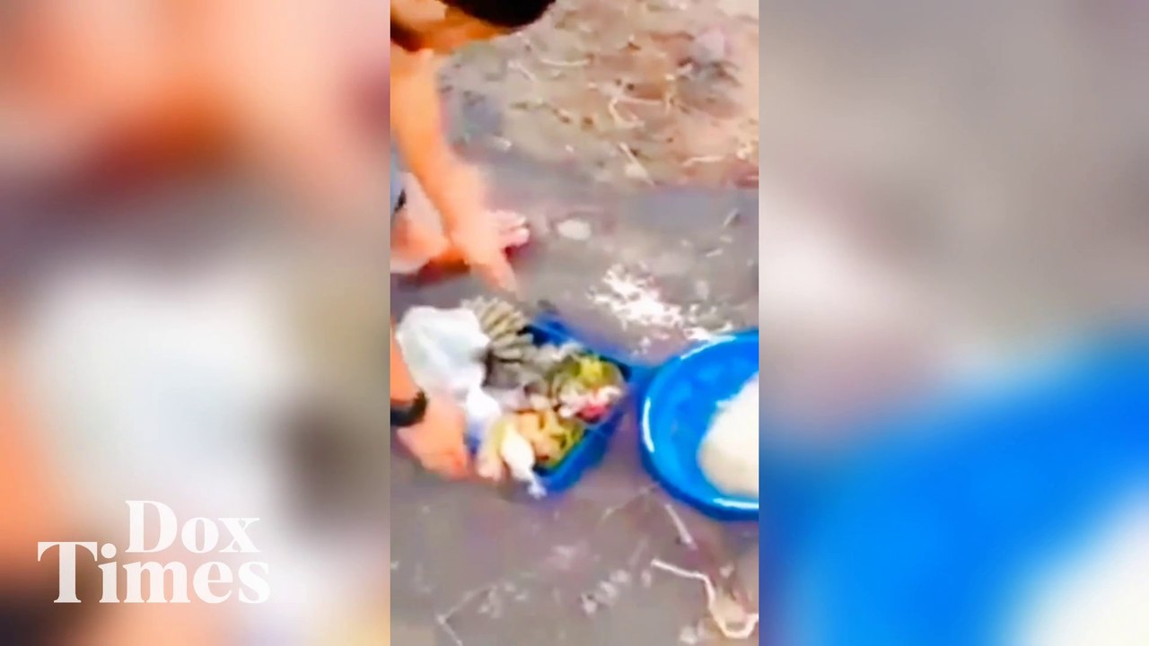Pria yang Tendang dan Buang Sesajen di Lumajang Menjadi Buronan