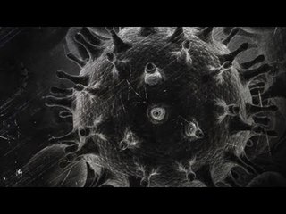 خمسة أشياء في منزلك تسبب عدوى الفطر الأسود: احذريها