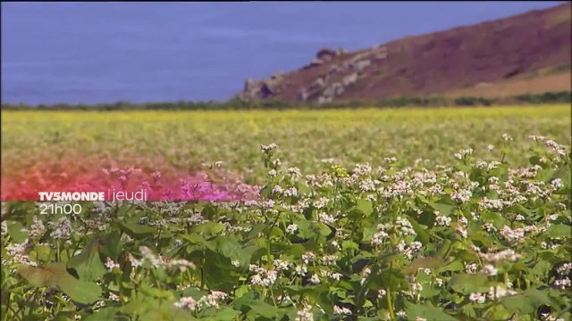 Des racines et des ailes : Passion patrimoine : Bretagne, de la Cornouaille au Léon