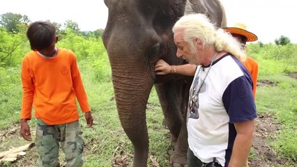 Exclu. Véto de choc (W9) : ce Français a ouvert un refuge pour éléphants en Thaïlande