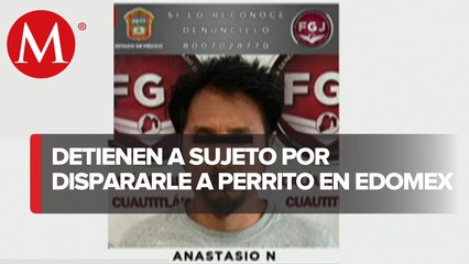 Detienen a una persona por maltrato animal en Estado de México