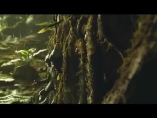 Le monde (presque) perdu - 24 janvier