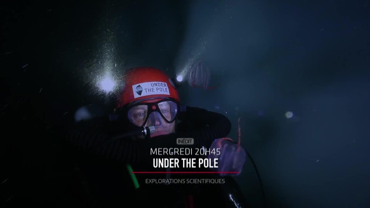 Under the Pole