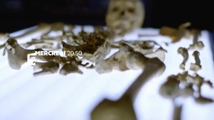 Richard III, la fin d'une énigme