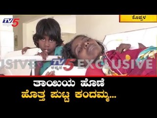 ತಾಯಿಯನ್ನು ಪೋಷಿಸುತ್ತಿದೆ ಈ ಪುಟ್ಟ ಕಂದಮ್ಮ| Koppal | TV5 Kannada
