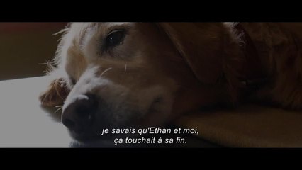 Mes vies de chien