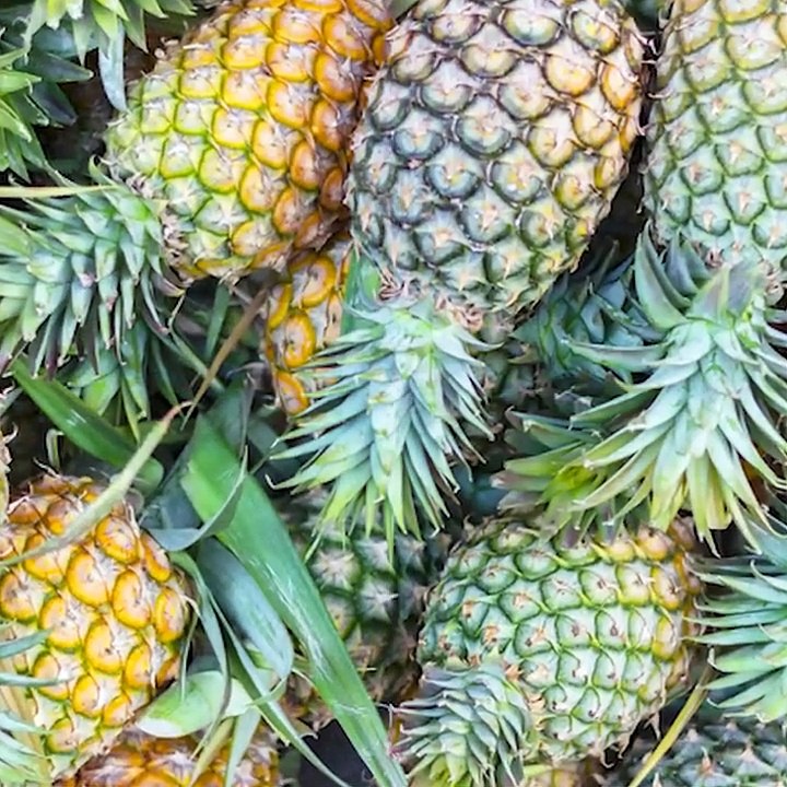 3 tés de piña para desinflamar y perder peso | Salud180