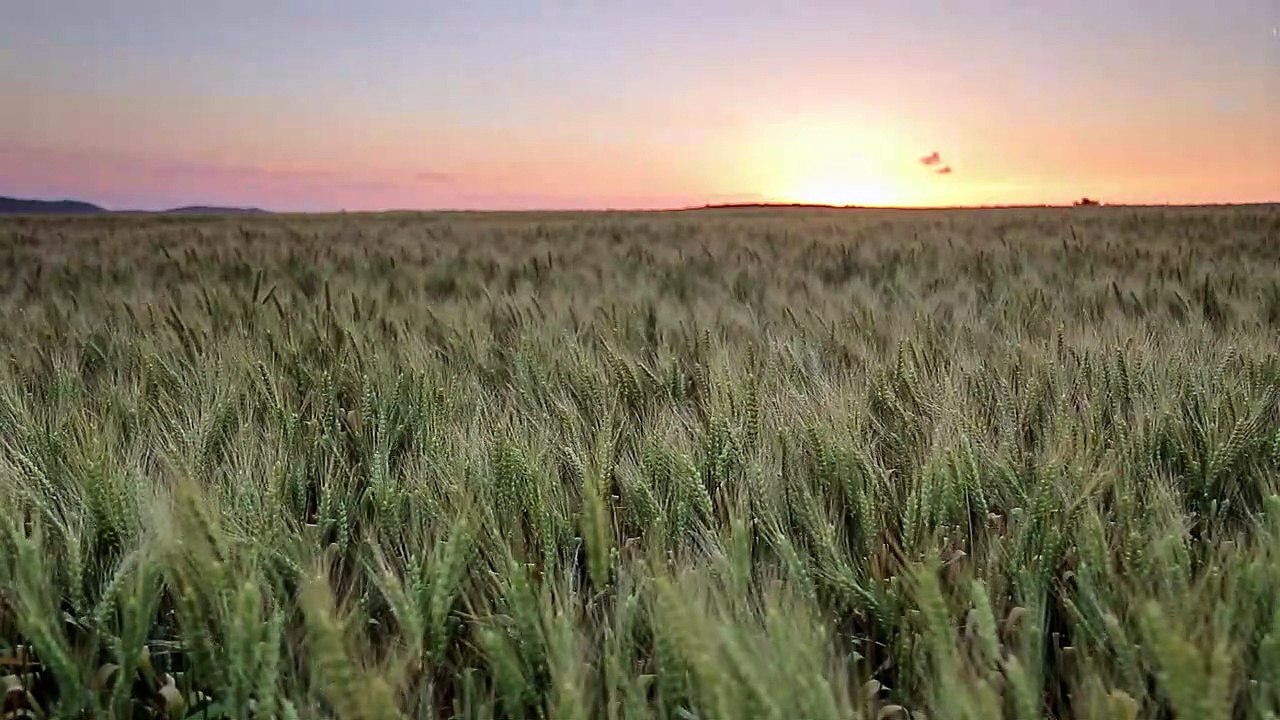 Sound of Wind in the Country
