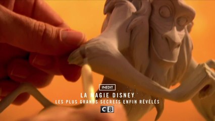 La folie Disneyland Paris : l’anniversaire… - 26 décembre