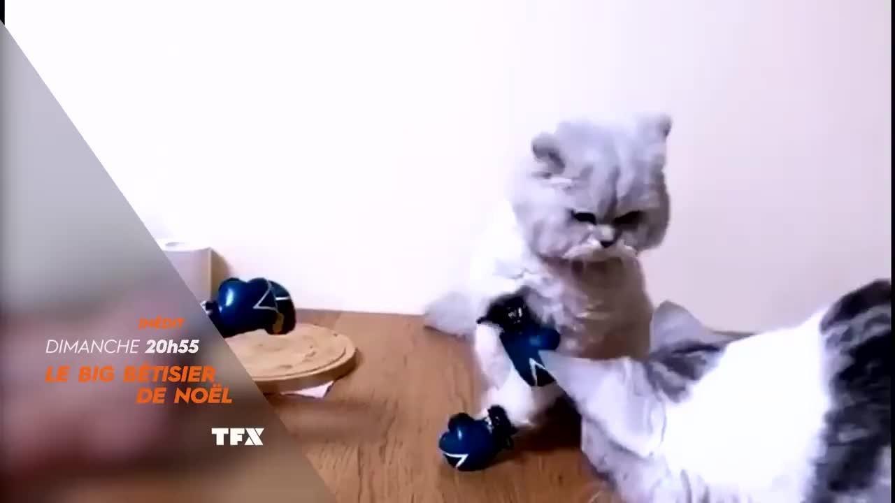 Le Big Bêtisier De Noël Saison 3 Le big bêtisier de Noël - Vidéo Dailymotion