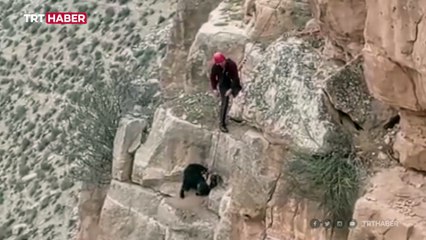 Kayalıklarda mahsur kalan keçi kurtarıldı