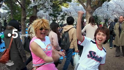 Des trains pas comme les autres - 31 décembre