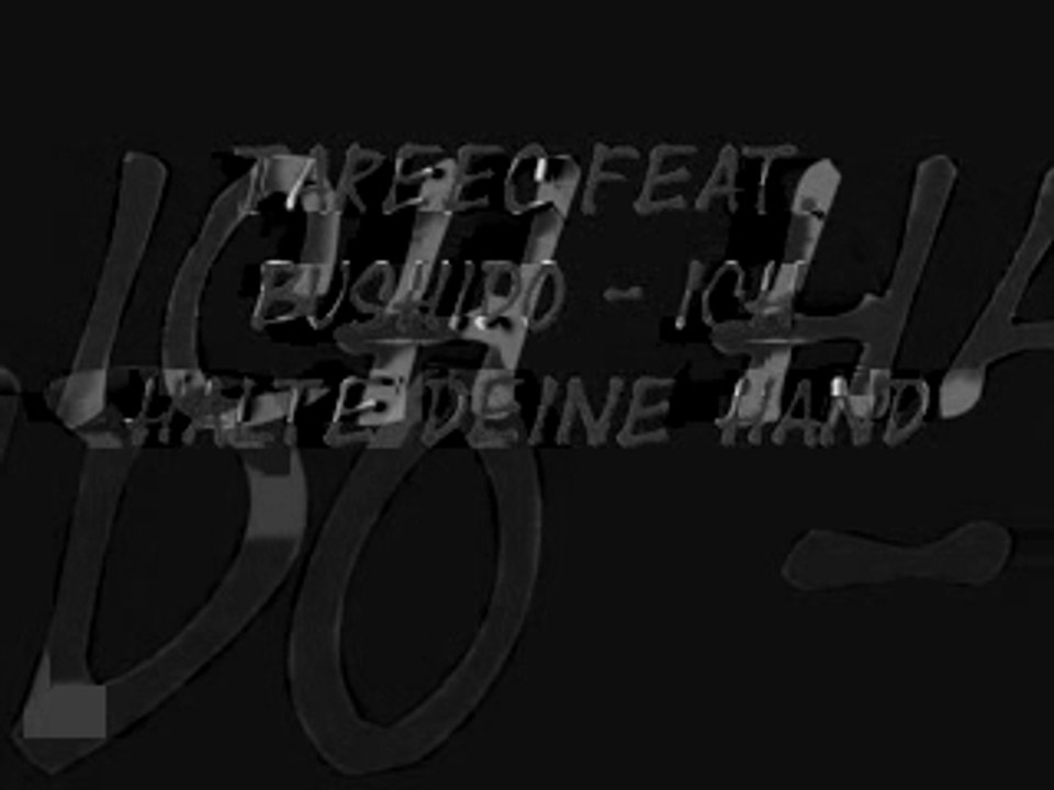 Tareec ft. Bushido ich halte deine Hand