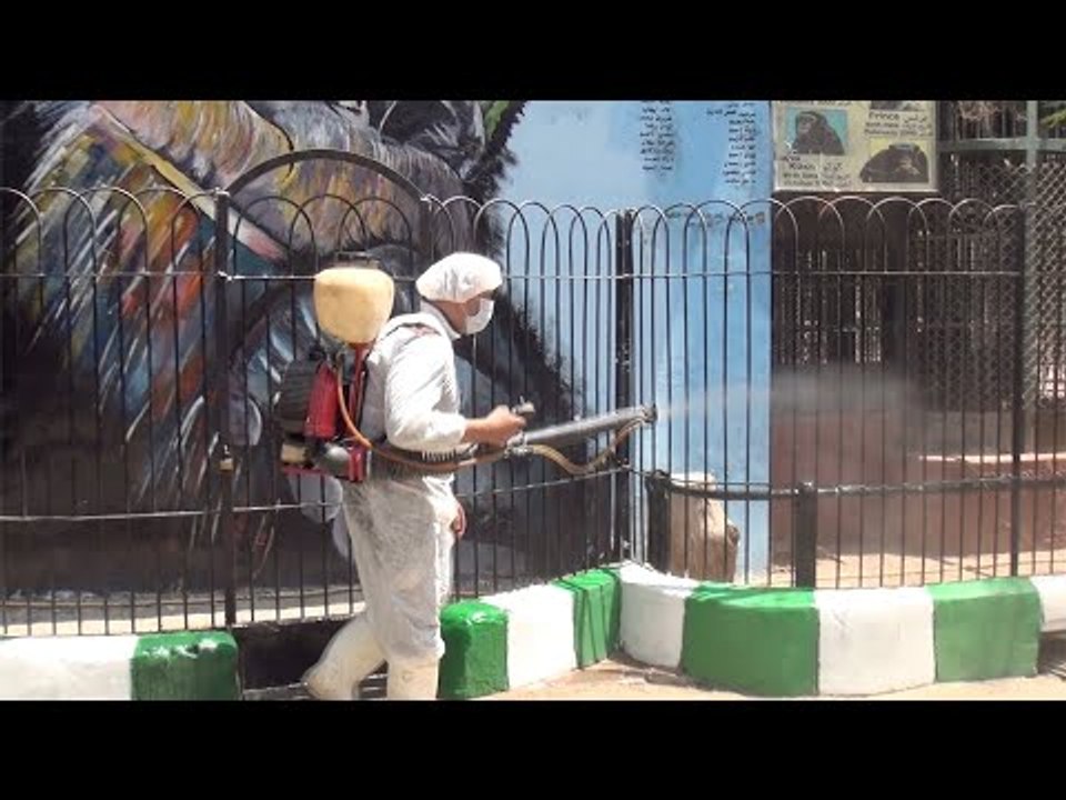 بعد إغلاق 5 أشهر.. حديقة الحيوان تستعد لاستقبال الزائرين غدا