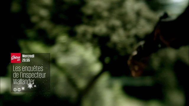 Les enquêtes de l'inspecteur Wallander : Les morts de la Saint-Jean (S1EP3)