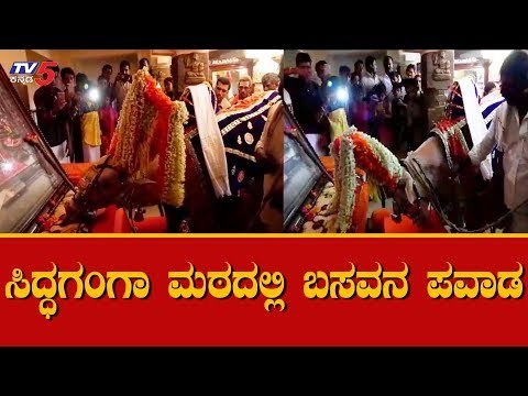 ಸಿದ್ಧಗಂಗಾ ಮಠದಲ್ಲಿ ಬಸವನ ಪವಾಡ | Shivakumara Swamiji | Siddaganga Mutt Tumkur | TV5 Kannada