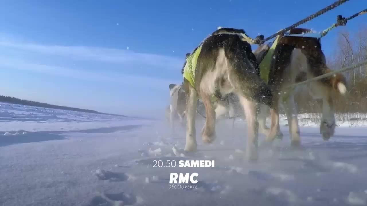 Into The Wild : Alaska