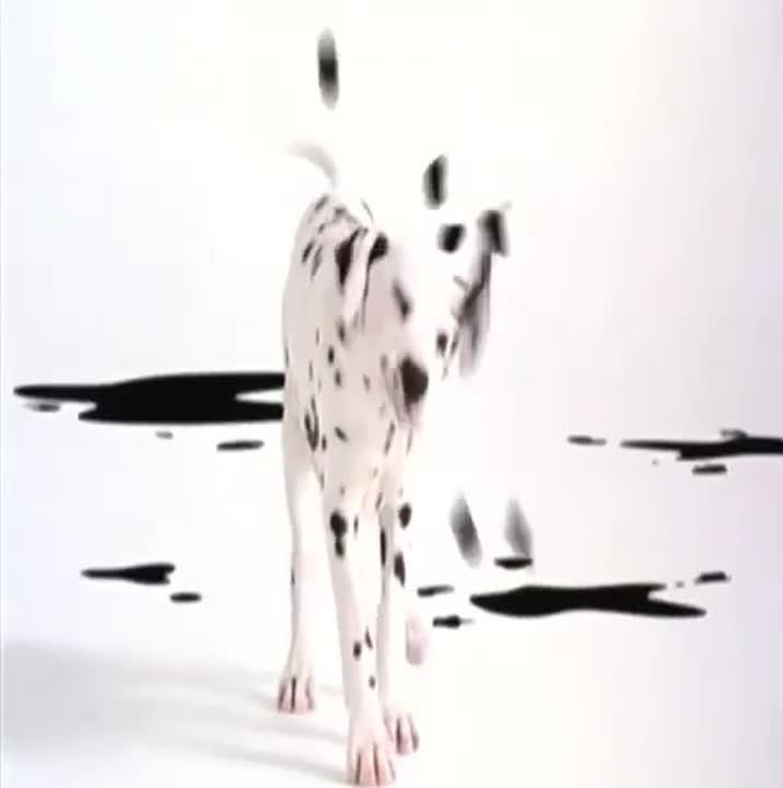 Les 102 _dalmatiens