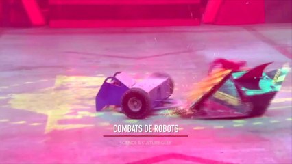 Combats de robots