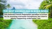 The Best Snorkeling in Bora Bora