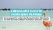 A Beginner s Guide to Snorkeling in Aruba