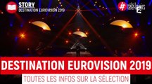 Destination Eurovision 2019 : jurés, artistes, diffusion… Toutes les infos sur l'émission de France 2