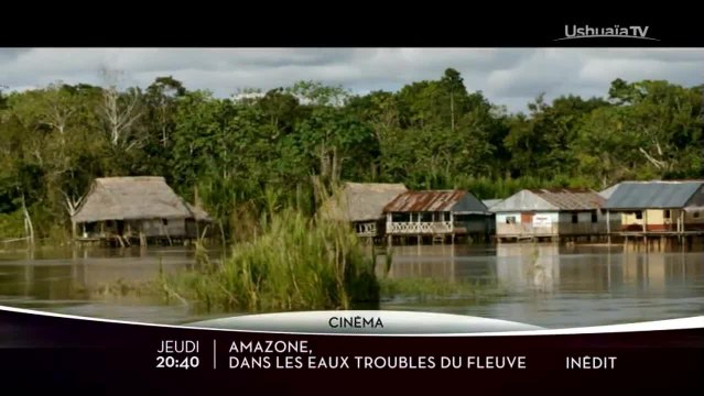 Amazone, dans les eaux troubles du fleuve