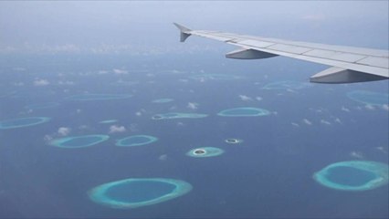 This Maldives Resort Has an Overwater Bar, a Beachfront Pizzeria, and an Exciting New Guest Chef Series