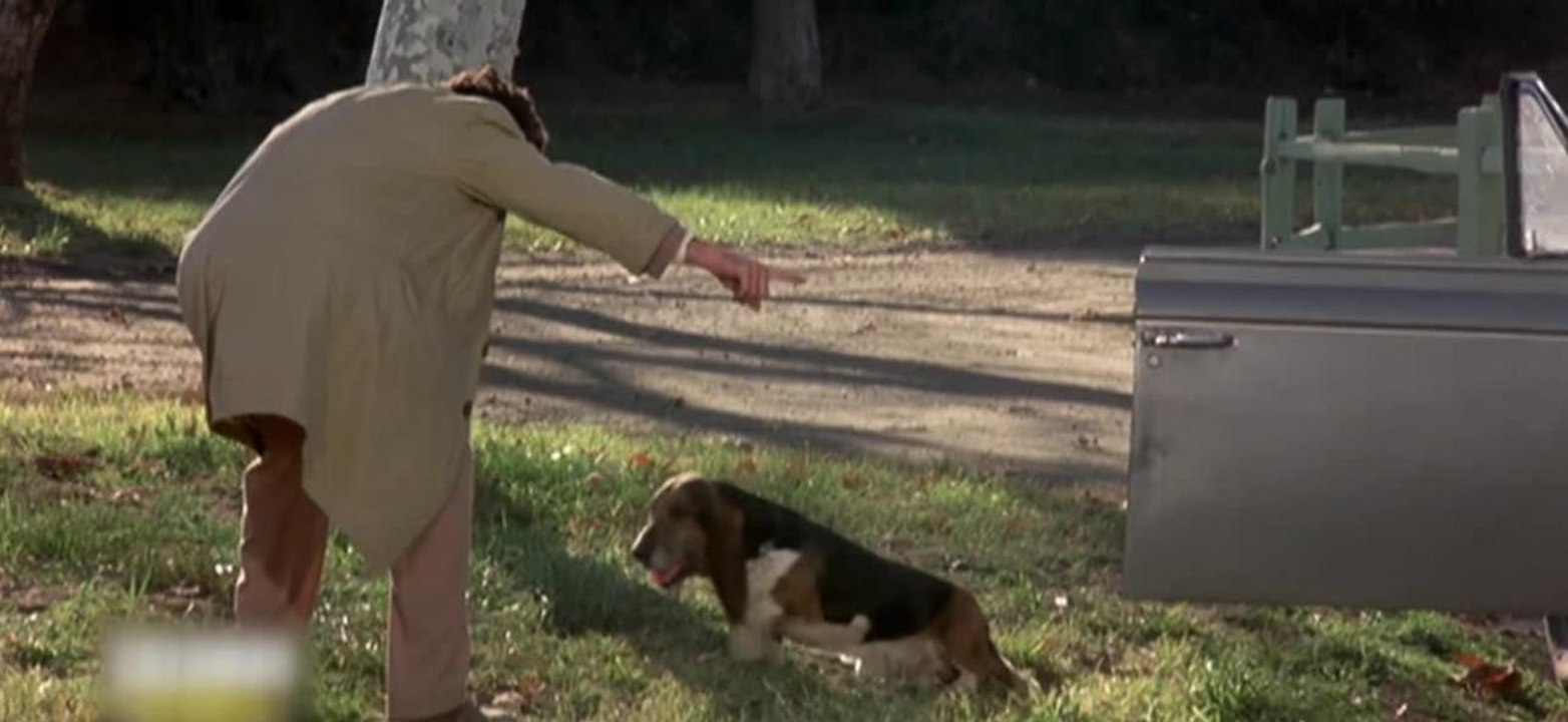 Columbo, 50 ans d'une série culte