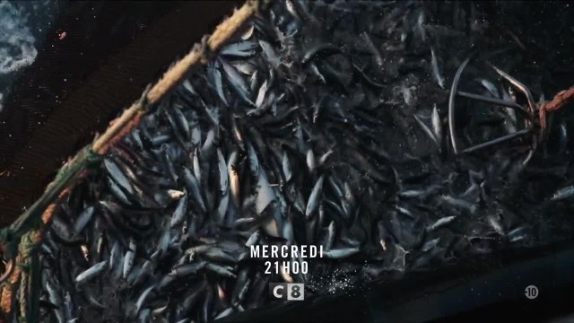 La planète est-elle (vraiment) foutue - 12 décembre