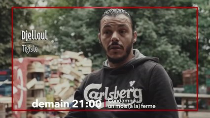 Condamné : un mois (à la) ferme - 1er décembre