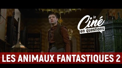 CEQ Les animaux fantastiques 2 : quel est le lien entre Dumbledore et Croyance ?