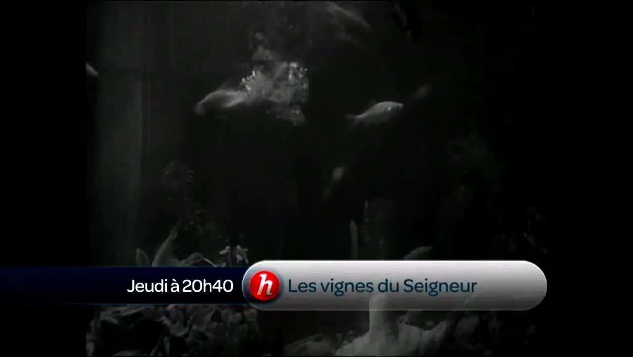 Les vignes du seigneur