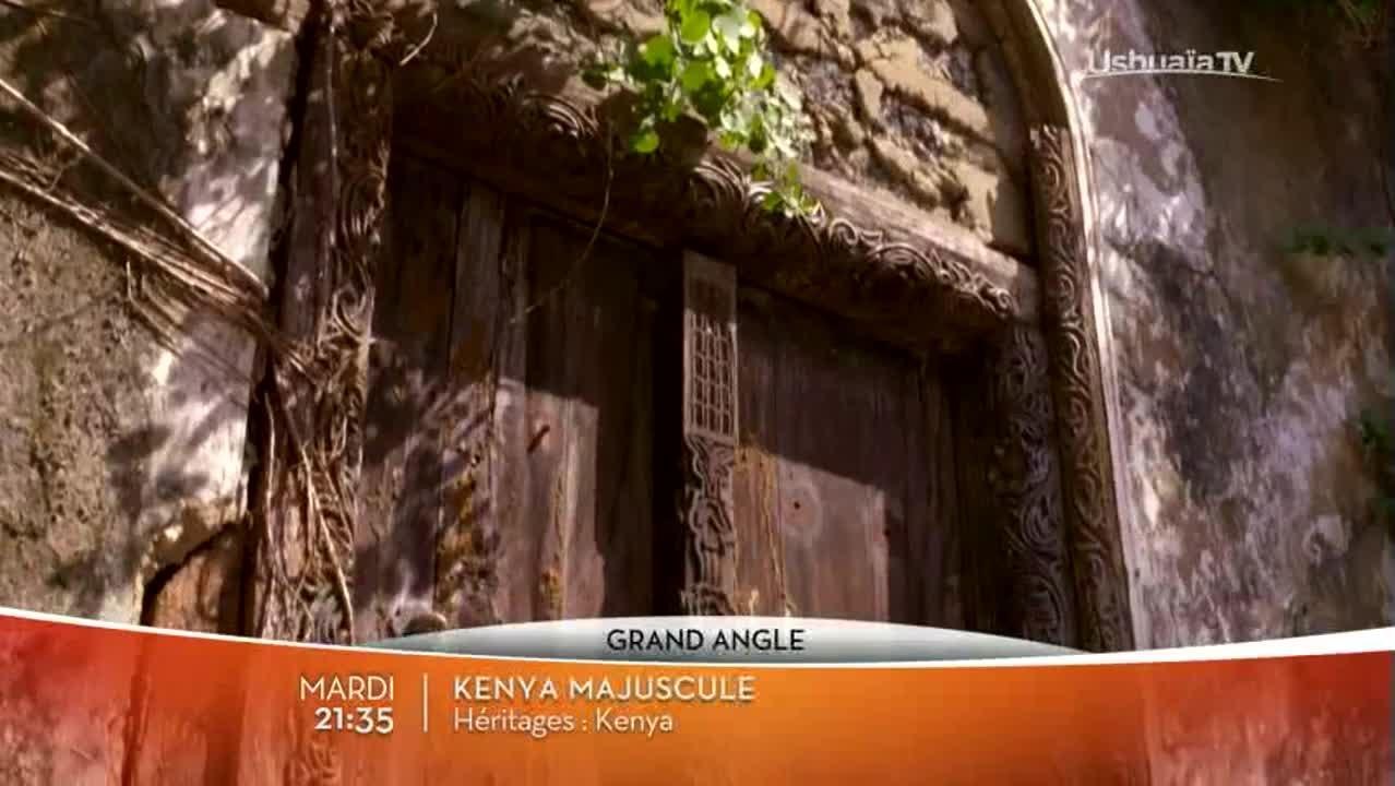 Masai Mara : la migration de tous les dangers /...